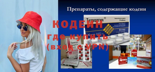 индика Баксан