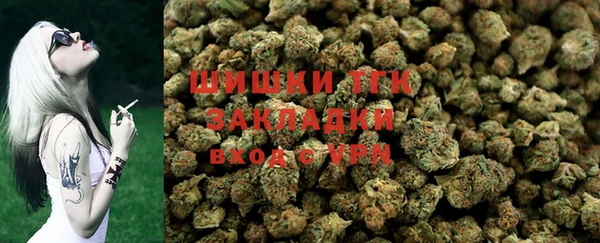 индика Баксан