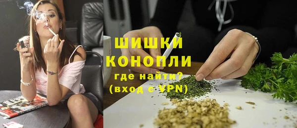 индика Баксан