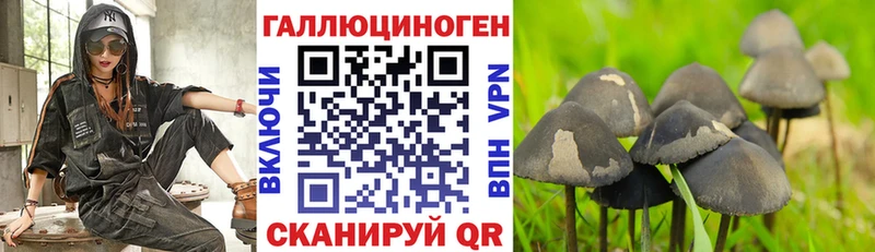 Галлюциногенные грибы Cubensis  Белая Холуница 